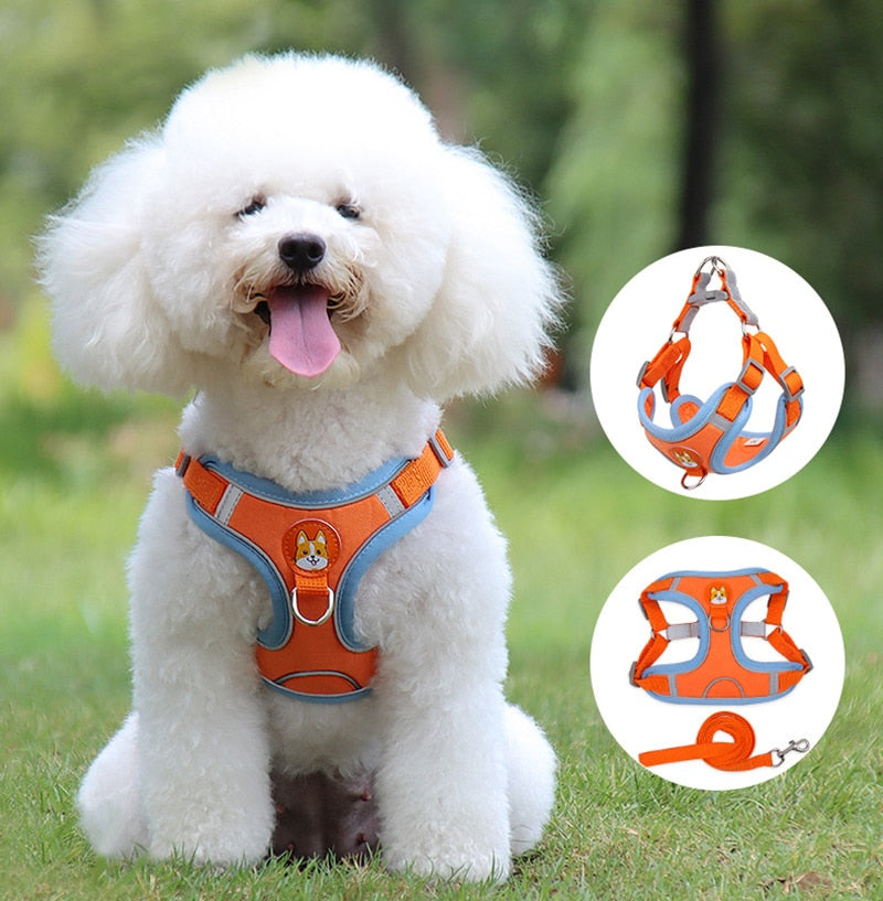 Leash Suede Breathable Cat/Dog Vest