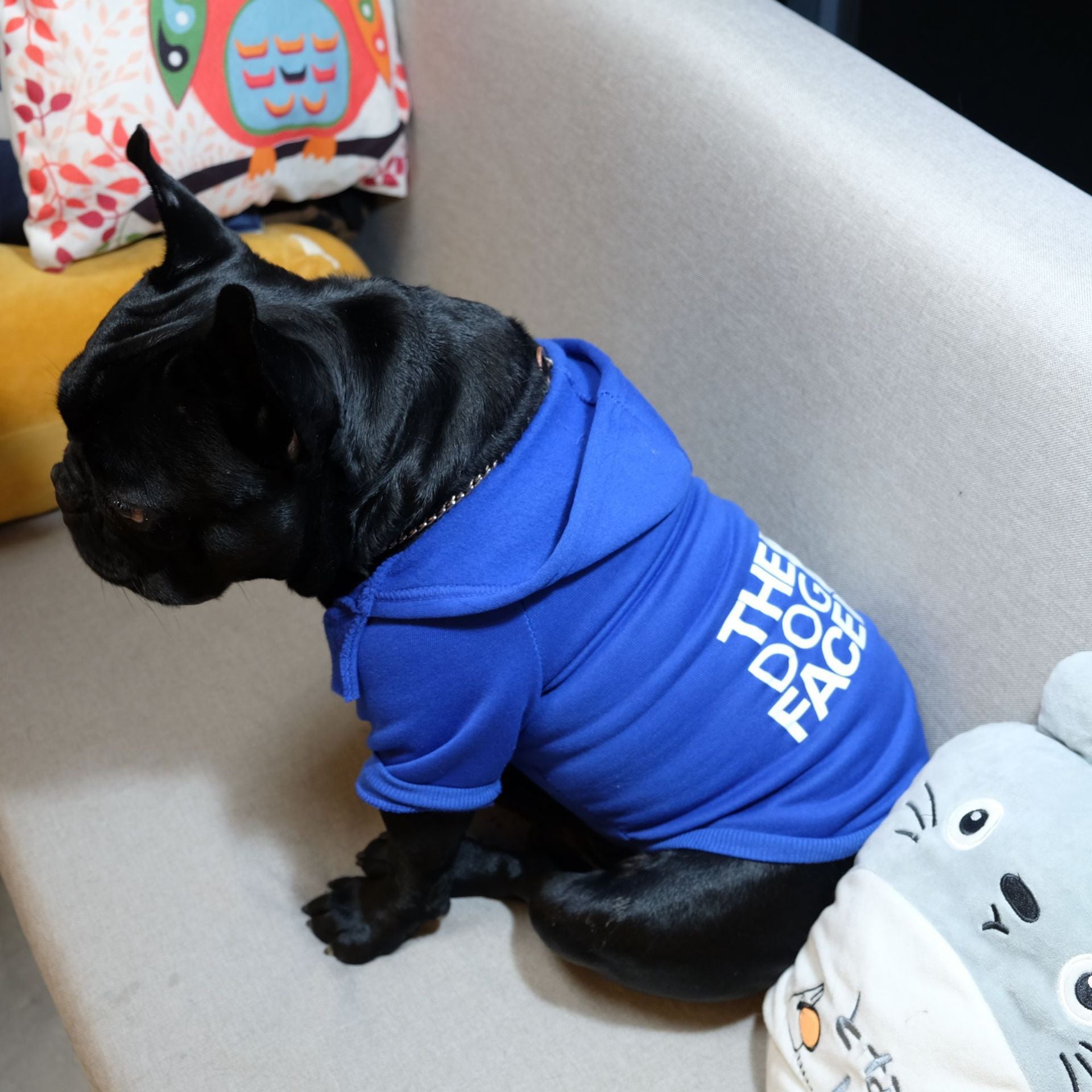 'The Dog Face' - Jumper